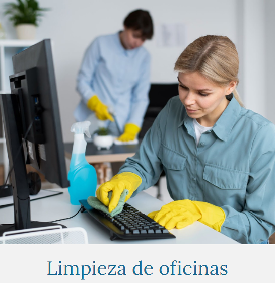 Limpiezas Y Pintura Integral Fv 3