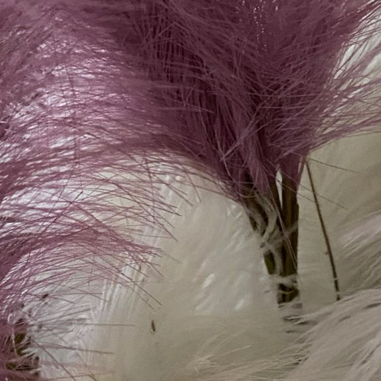 La Palanca Decoraci&oacute;n 16