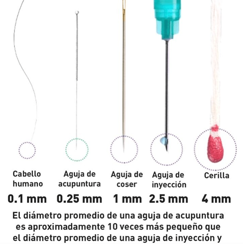 Acupuntura Avanzada Madrid 11