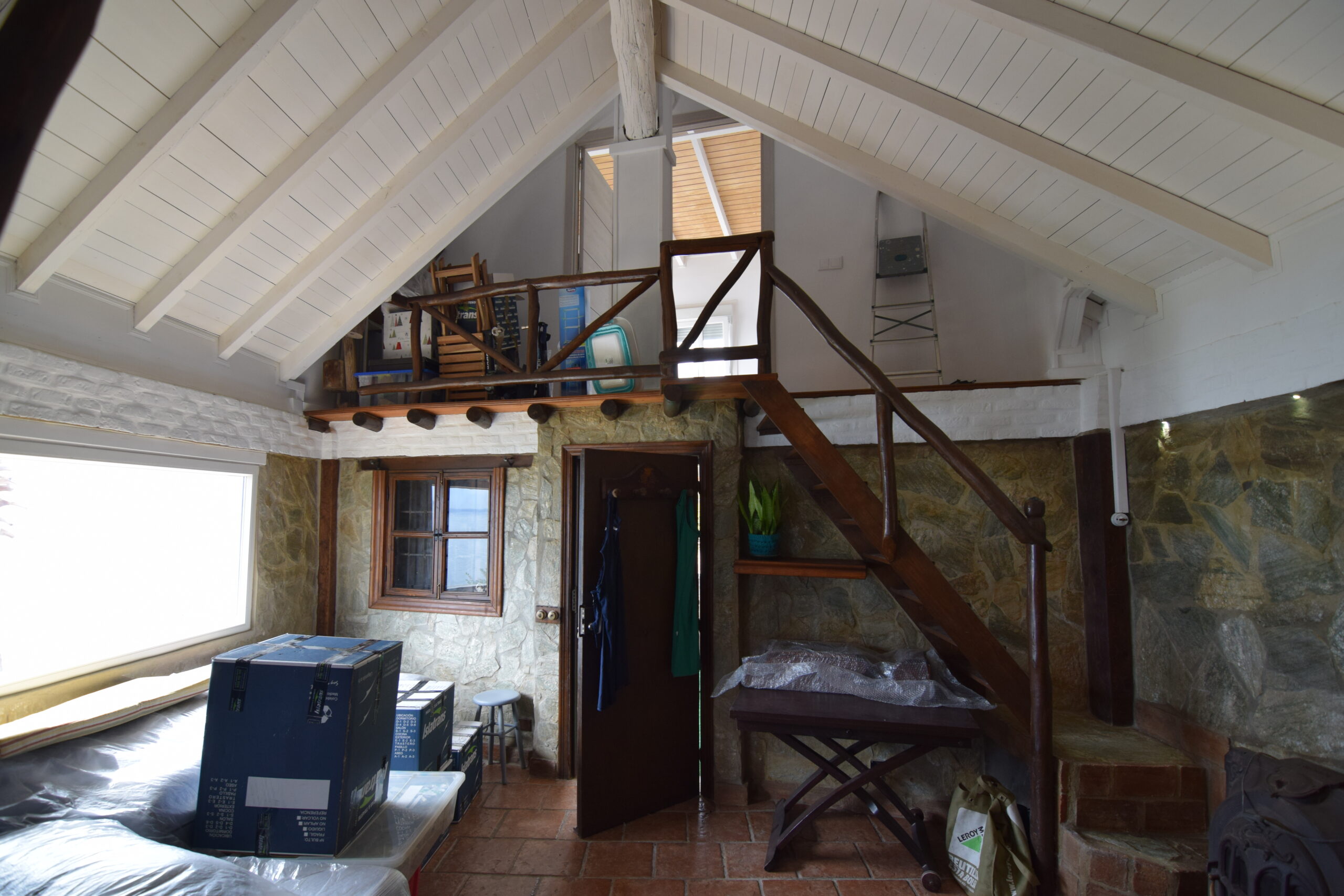 El P&aacute;jaro Carpintero 4