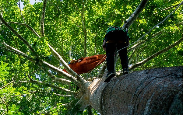 Viajes Y Turismo Amazonas Villanueva de la Serena