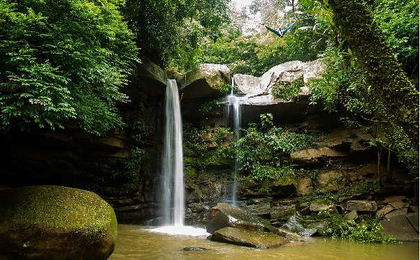 Viajes Y Turismo Amazonas AGENCIAS DE VIAJES