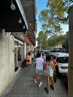 Galería de imágenes