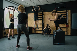 Galería de imágenes