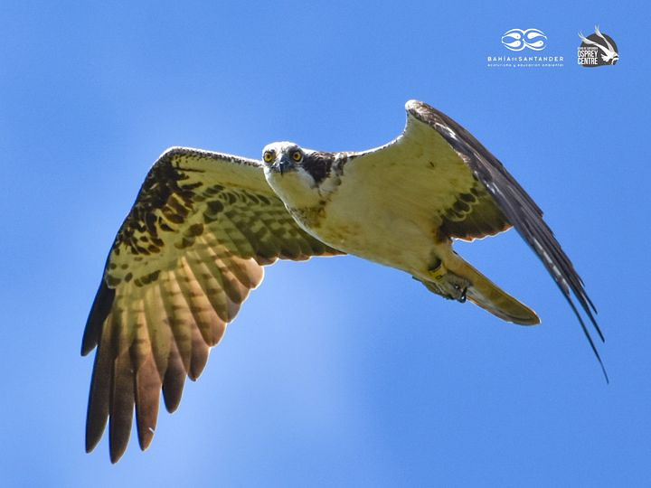 Bah&iacute;a De Santander Ecoturismo TURISMO: SERVICIOS