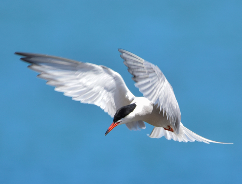 Bah&iacute;a De Santander Ecoturismo 10