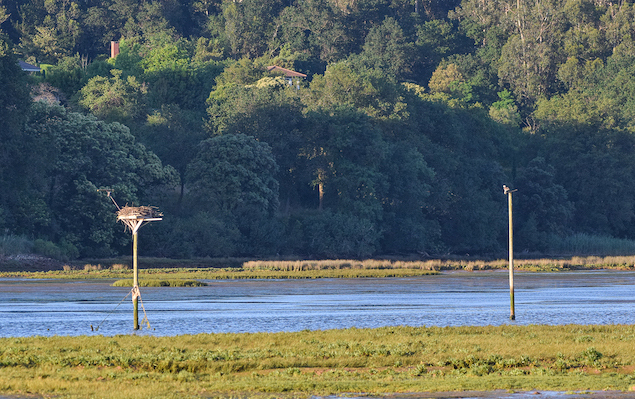 Bah&iacute;a De Santander Ecoturismo 15