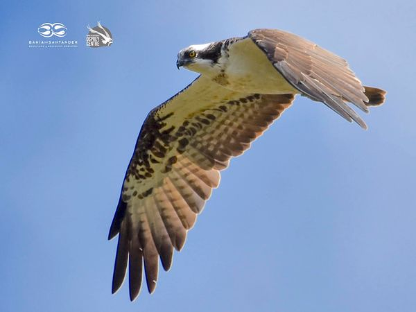 Bah&iacute;a De Santander Ecoturismo 2