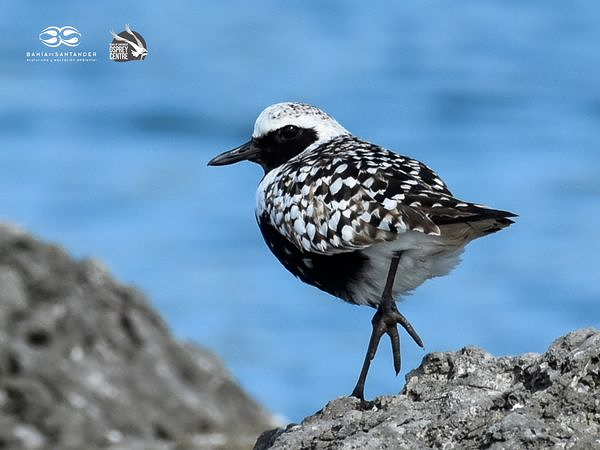 Bah&iacute;a De Santander Ecoturismo 5