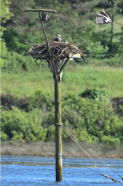 Bah&iacute;a De Santander Ecoturismo 3
