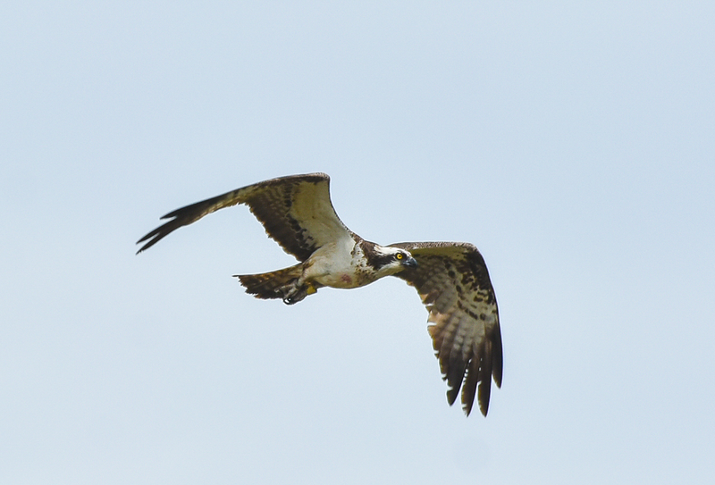 Bah&iacute;a De Santander Ecoturismo 13