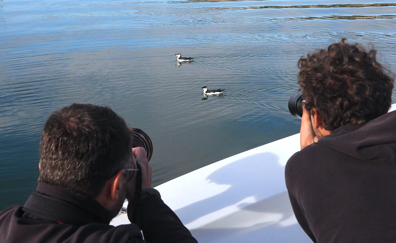 Bah&iacute;a De Santander Ecoturismo 12