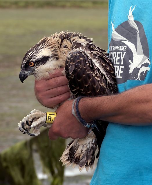 Bah&iacute;a De Santander Ecoturismo 4