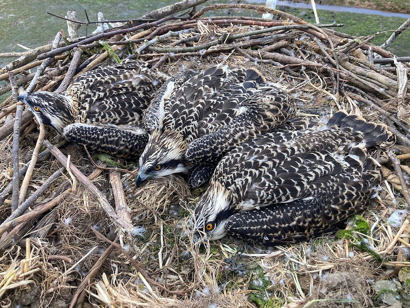 Bah&iacute;a De Santander Ecoturismo 18