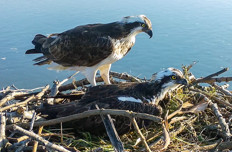 Bah&iacute;a De Santander Ecoturismo 14