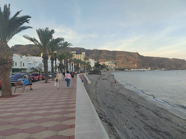 Aliservices Inmobiliaria Online 4