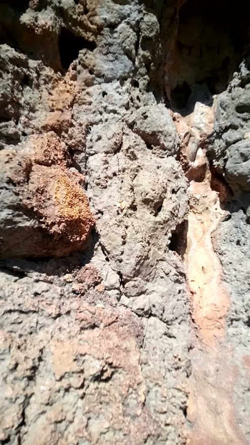 Mallorca Mountains 8