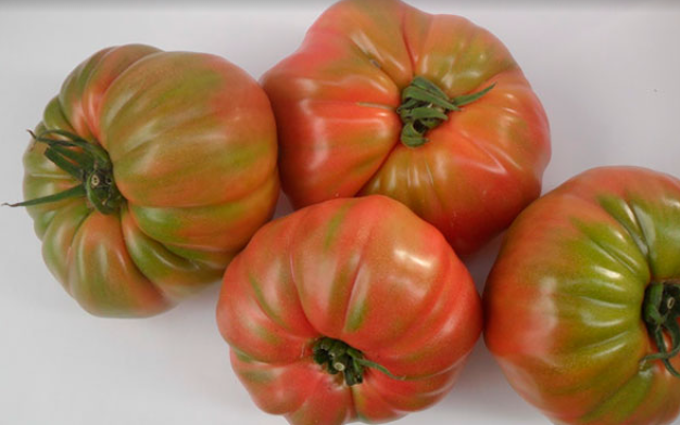 Tomates Rosa de Hij&aacute;r en Tomates Prisco FRUTAS Y HORTALIZAS: MAYORISTAS