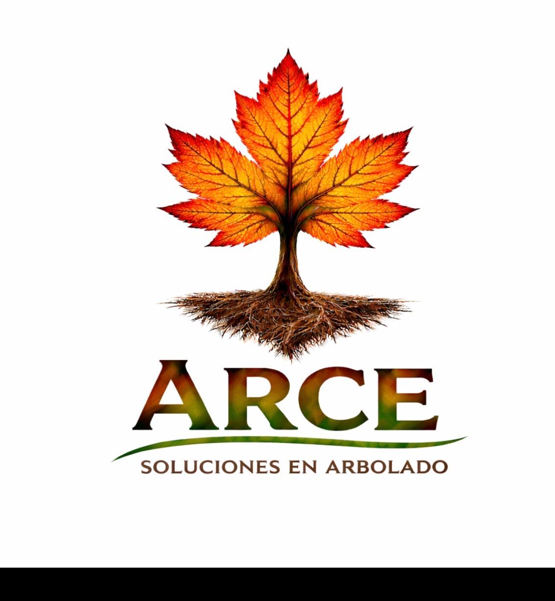 Podas y Talas Arce Arboricultura