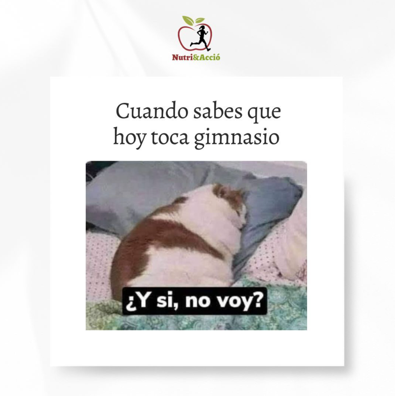 Sonia Riera - Nutricionista 10