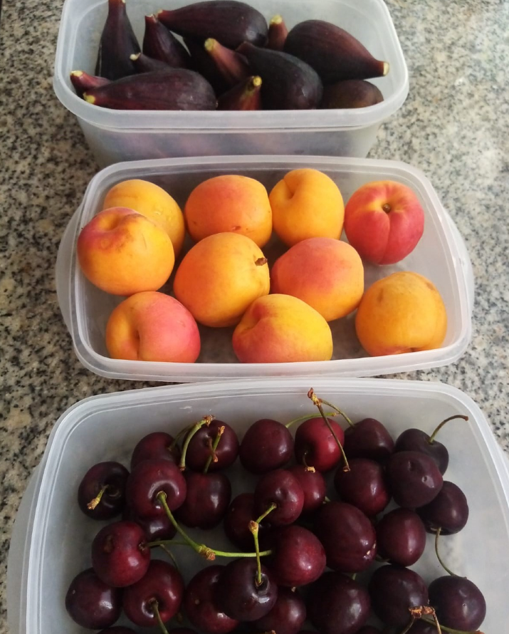 Sonia Riera - Nutricionista 6