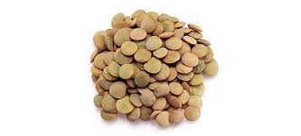 Ardevi Hispania SL 5