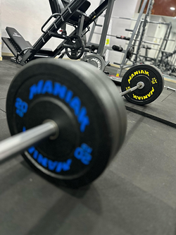 Galería de imágenes