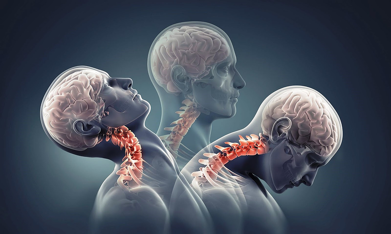 NEXUM - Osteopat&iacute;a Integral 6