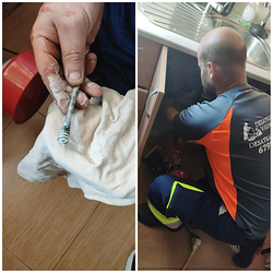 Galería de imágenes