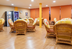 Galería de imágenes