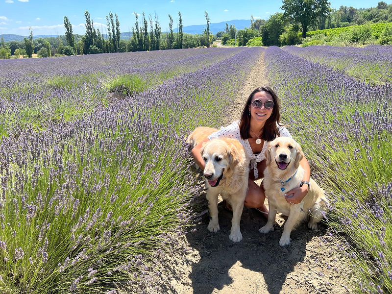 CANatura Resid&egrave;ncia Canina 8