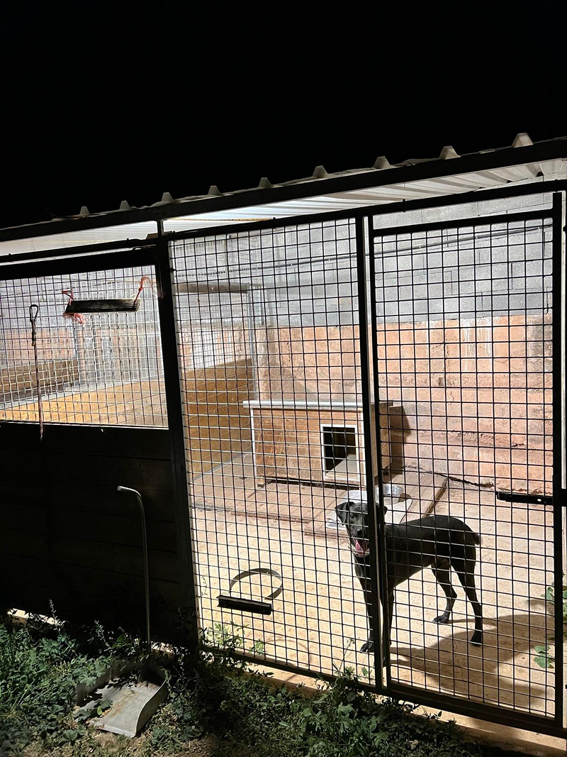 CANatura Resid&egrave;ncia Canina 2