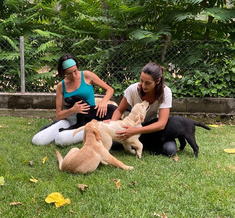 CANatura Resid&egrave;ncia Canina 6