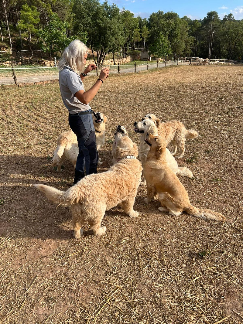 CANatura Resid&egrave;ncia Canina RESIDENCIAS EQUINAS