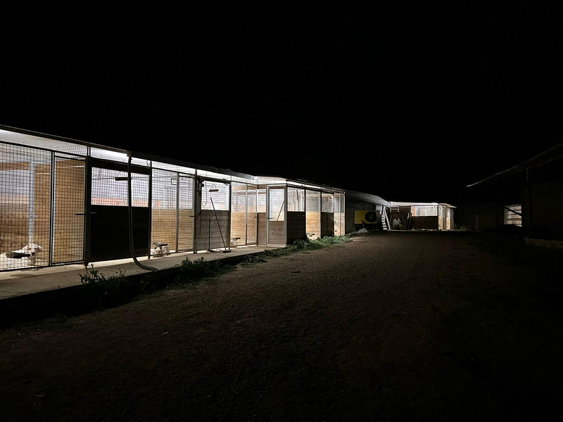 CANatura Resid&egrave;ncia Canina Calaf