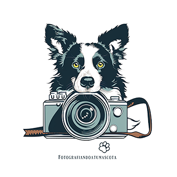 Fotografiandoatumascota