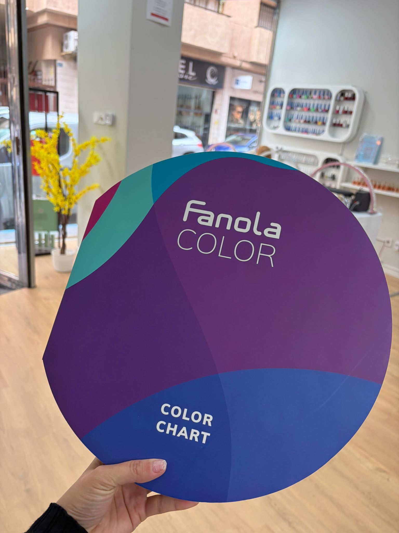 La Est&eacute;tica Brasile&ntilde;a 17