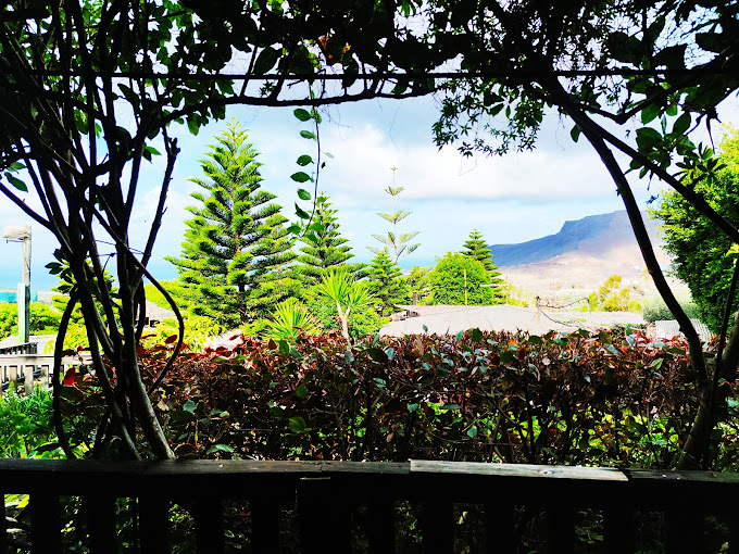 Finca Lomo Valer&oacute;n Troia Agaete 14