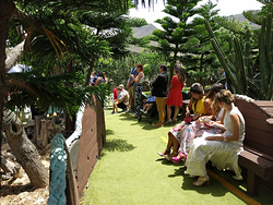 Galería de imágenes