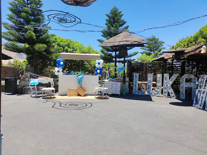 Finca Lomo Valer&oacute;n Troia Agaete 17