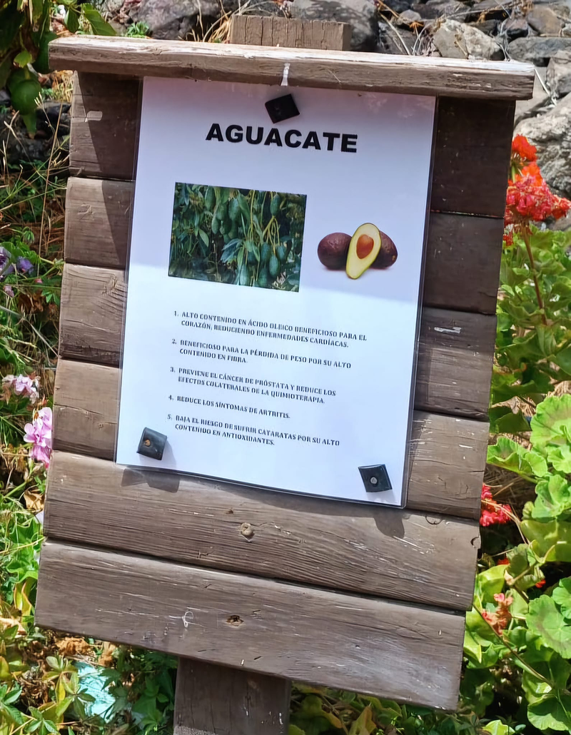 Finca Lomo Valer&oacute;n Troia Agaete 11