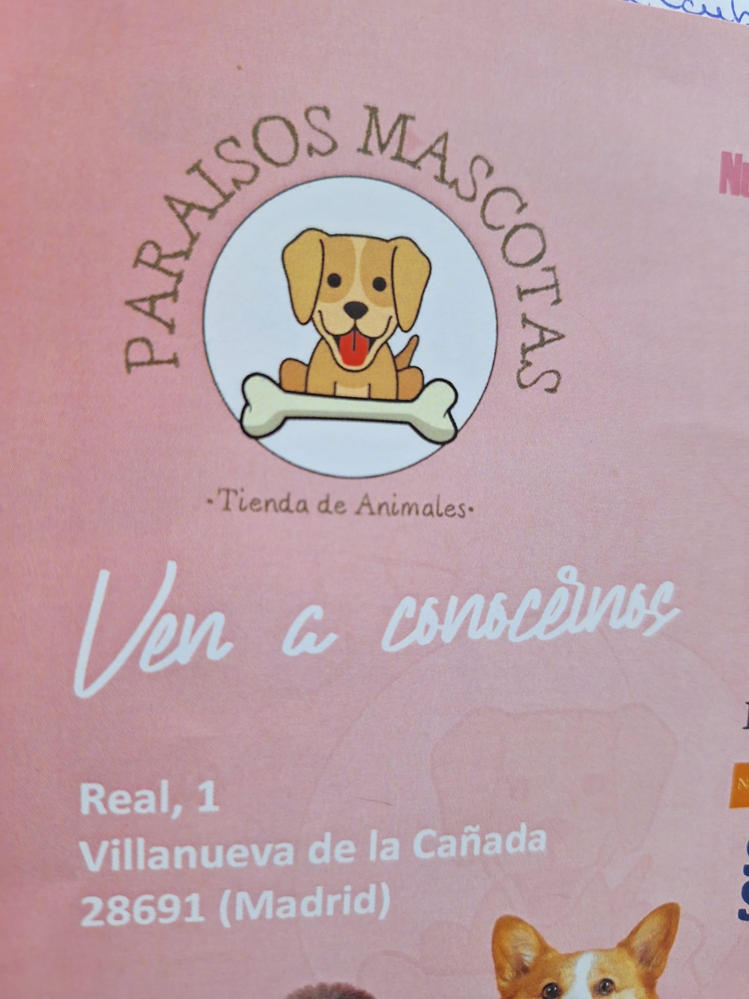 Paraísos Mascotas