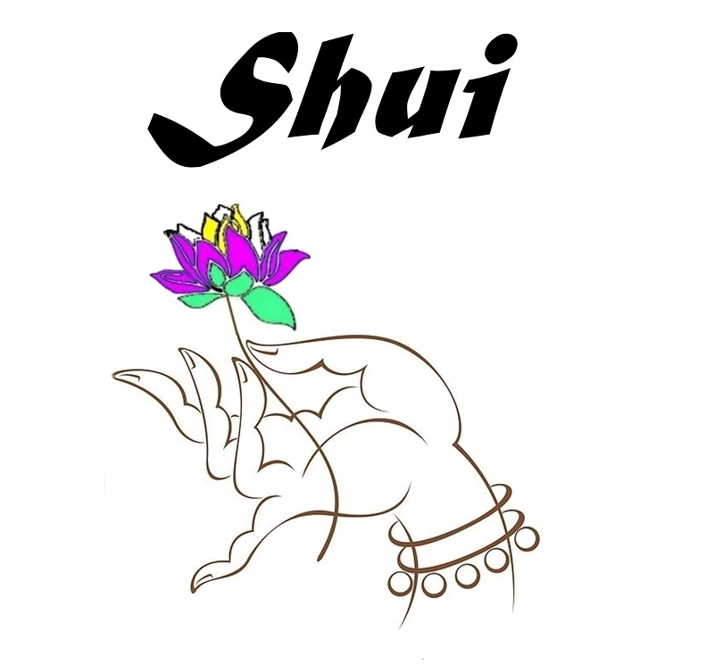 Shui Centro de Acupuntura y Terapias Naturales