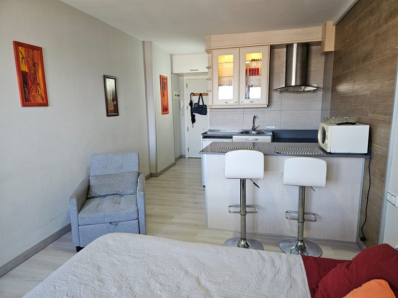 Immoservice Meisel 13