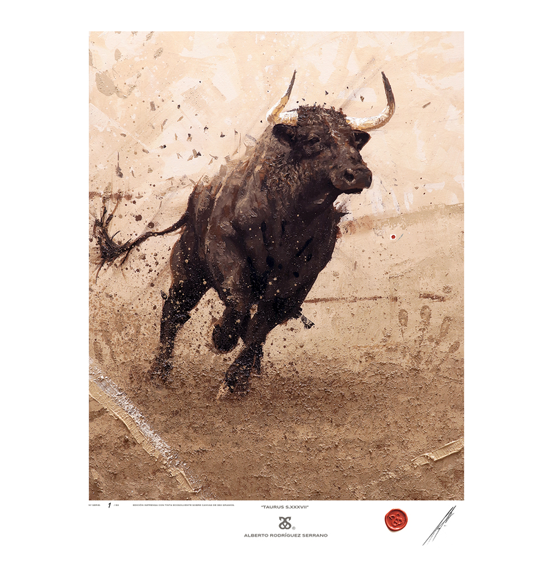 Alberto Rodriguez Serrano 21