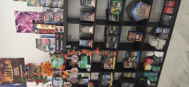 Draconomico PAPELERIA: ESTABLECIMIENTOS