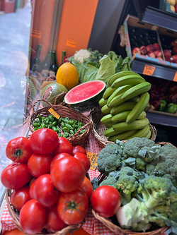 Galería de imágenes