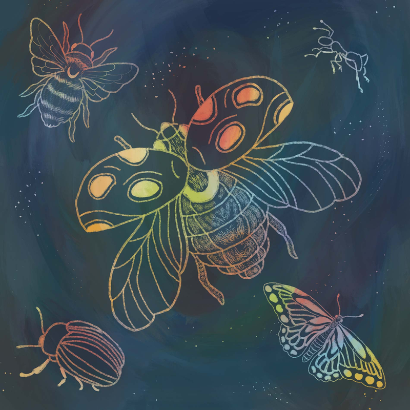 Tet&eacute; Brage Bold Branding 33