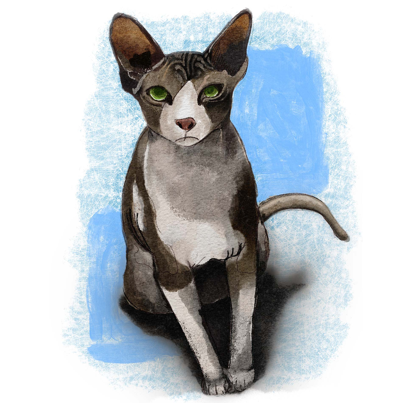 Tet&eacute; Brage Bold Branding 34