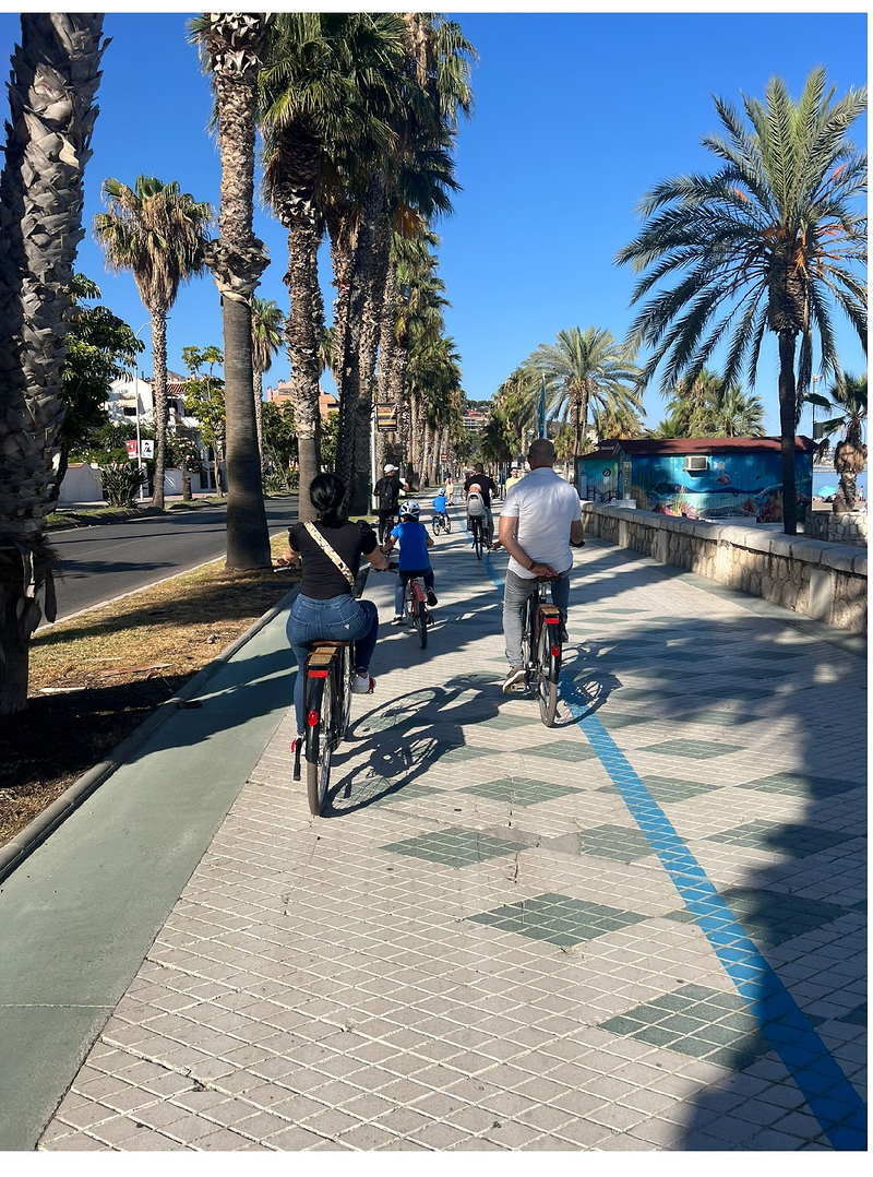 Soho Bike M&aacute;laga 15